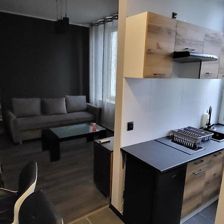 Апартаменты Apartament Pod Wieza Пётркув-Трыбунальский Экстерьер фото
