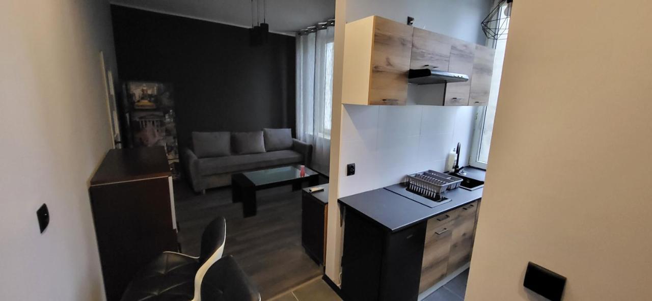 Апартаменты Apartament Pod Wieza Пётркув-Трыбунальский Экстерьер фото